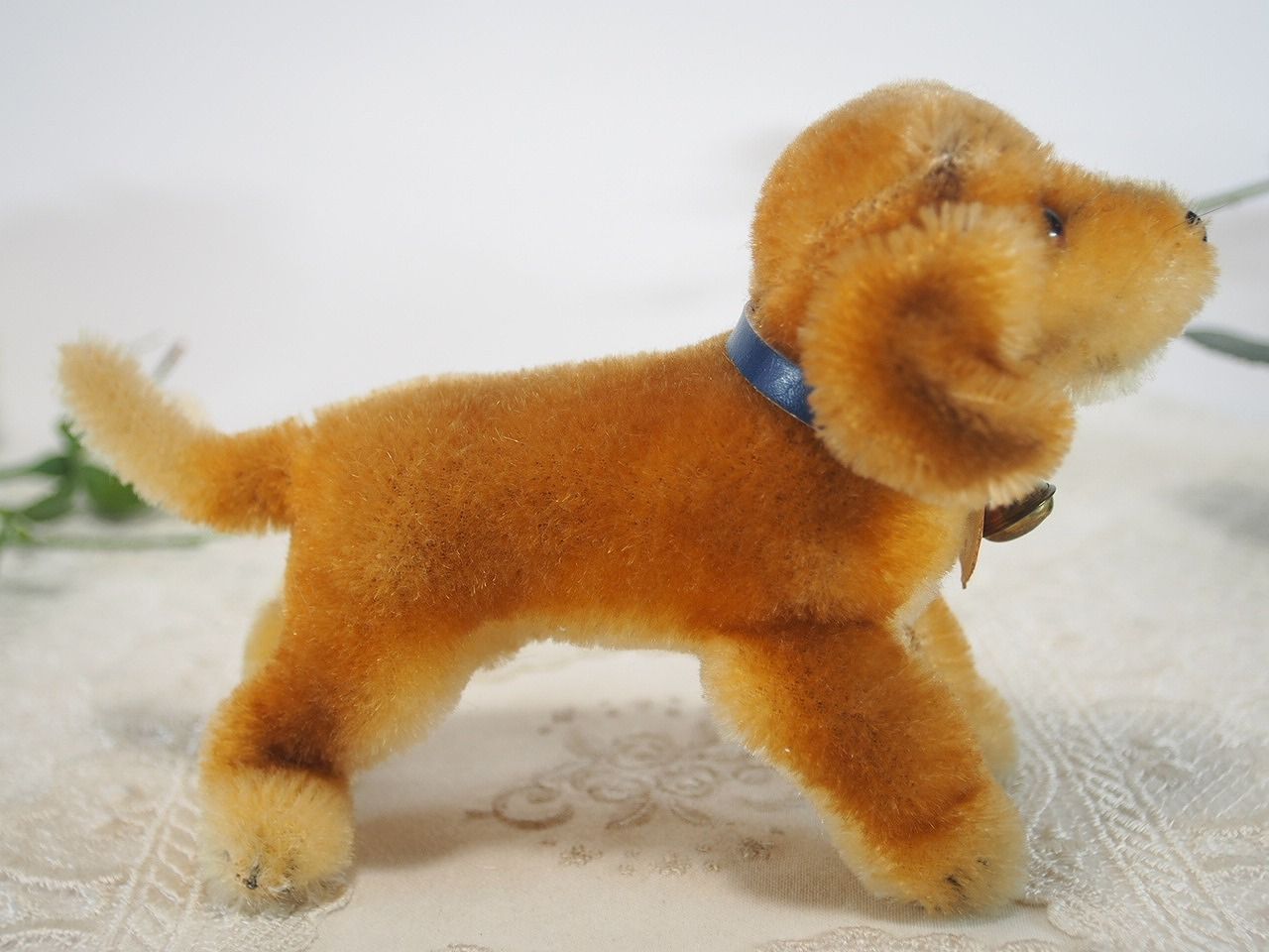 シュタイフ☆Bazi Dachshund 10cm オールIDs完品☆犬のバジー - メルカリ