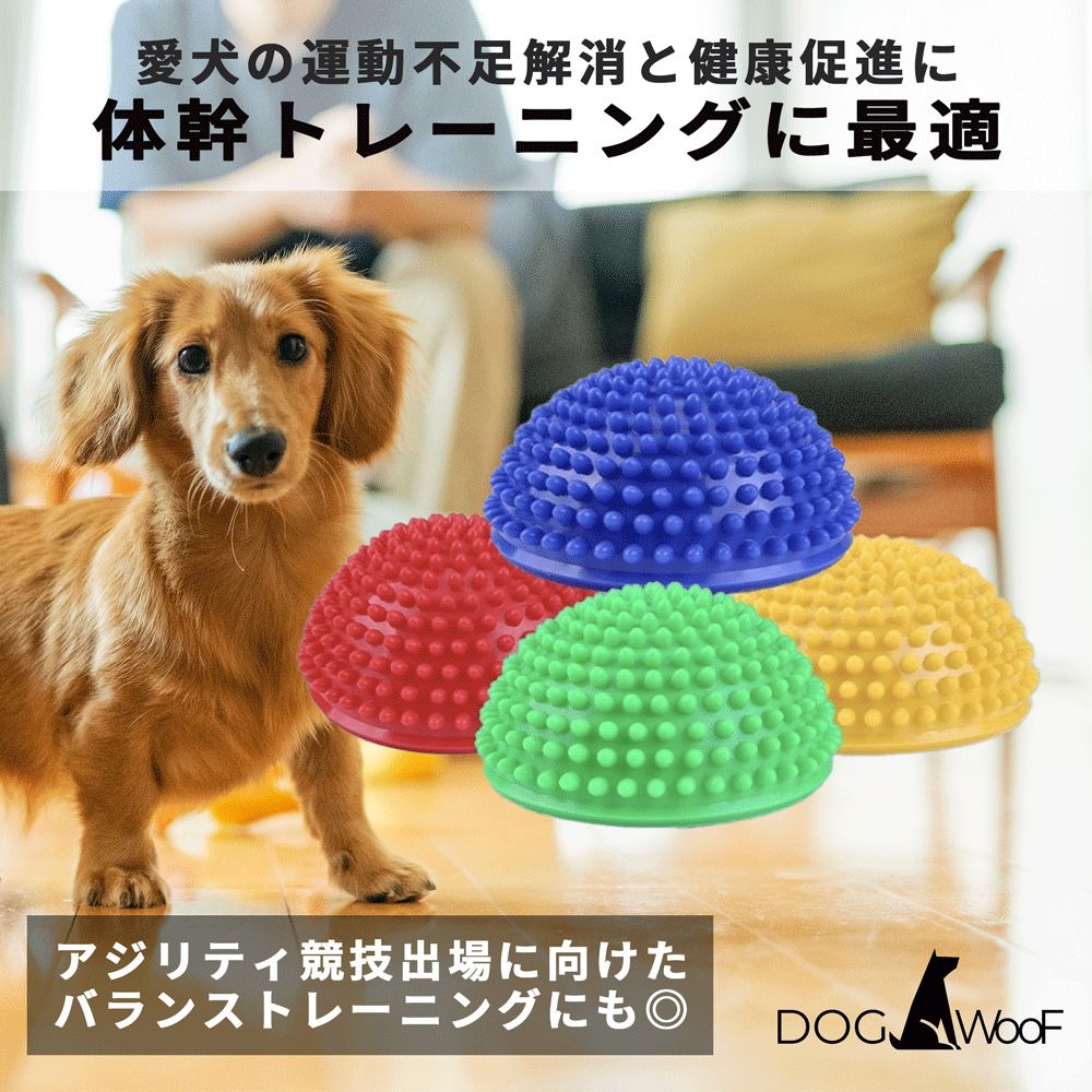体幹トレーニング