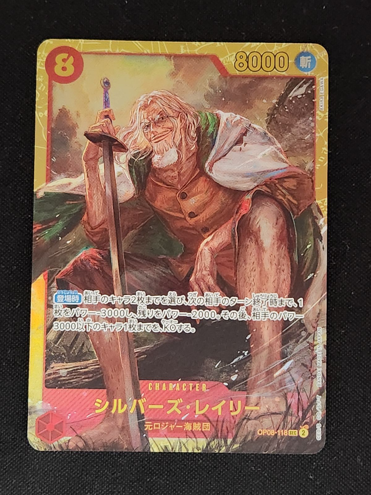 シルバーズ・レイリー SEC - メルカリ