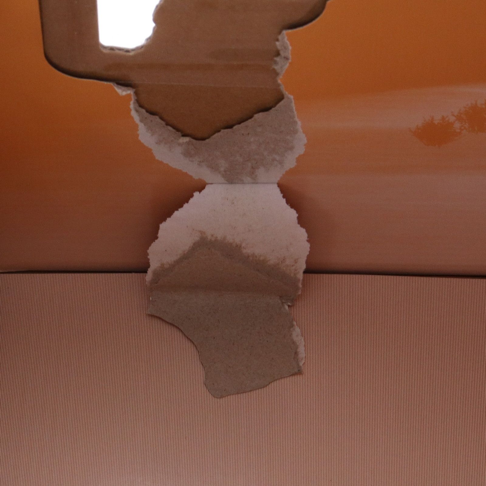 轟竜 ティガレックス