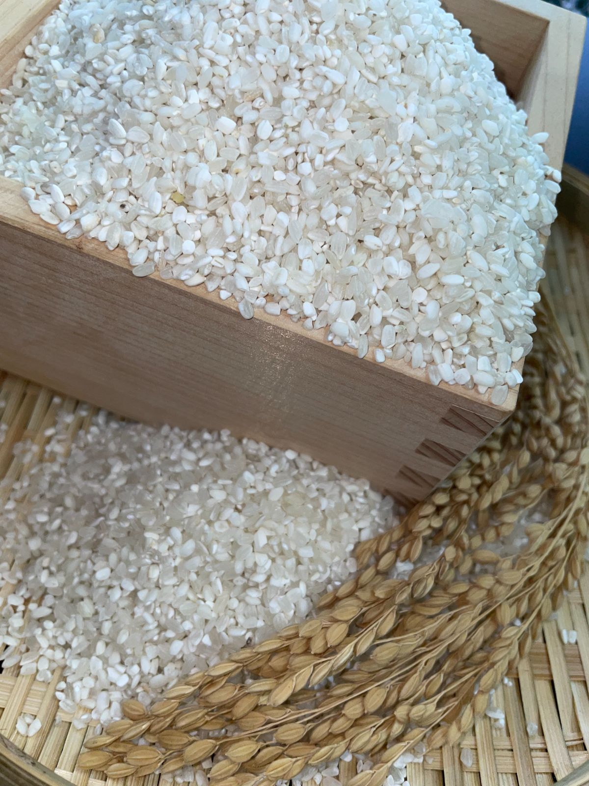 こつぶ米 20㎏ 産 ブレンド米 白米