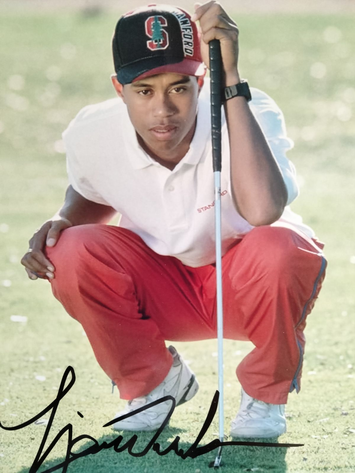 タイガー・ウッズ直筆サイン入り超 大型写真…Tiger Woods…アメリカ