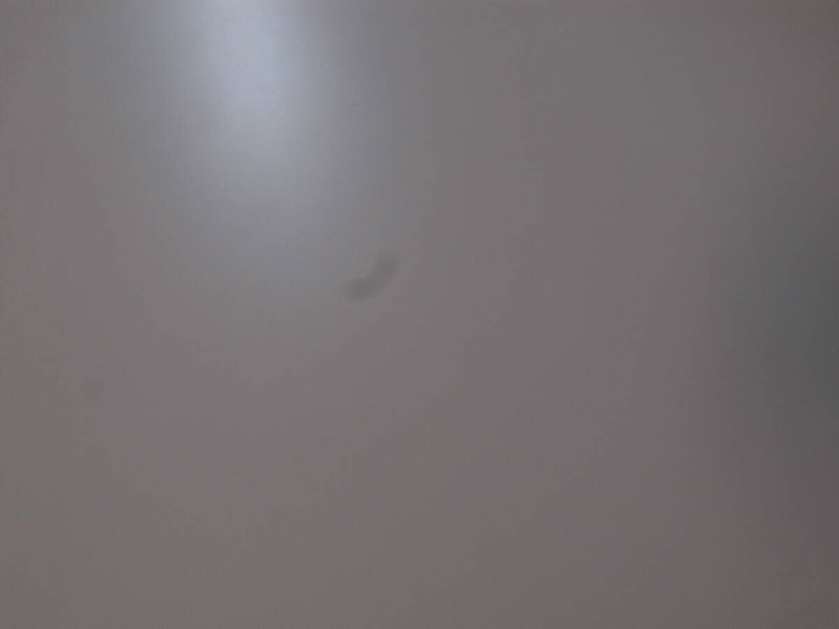 シャッター回数2945