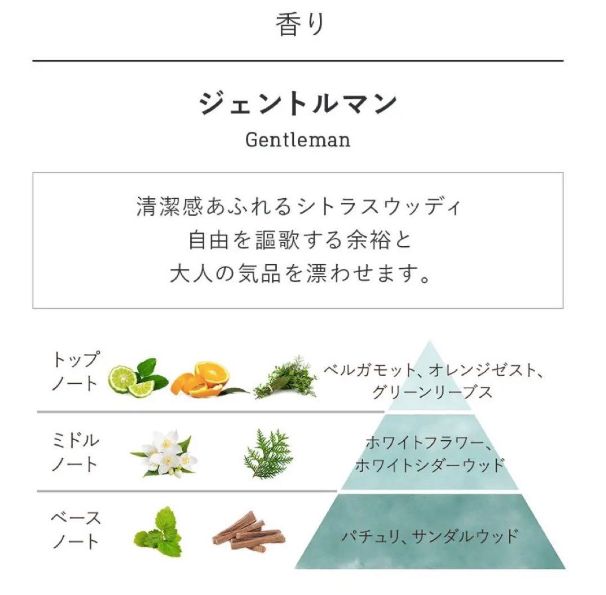 ボディスクラブ