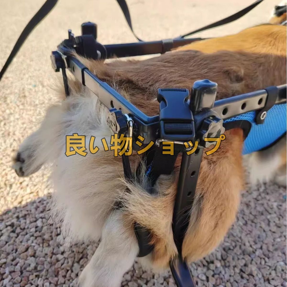 人気品犬用車椅子 車いす小型中型軽量ペット用2輪歩行器リハビリ 介護 室内 屋外 老犬 猫犬兼用 ペット車椅子 ハーネス 犬用車椅子 散歩 STEELWINDOWSANDDOORS_COM