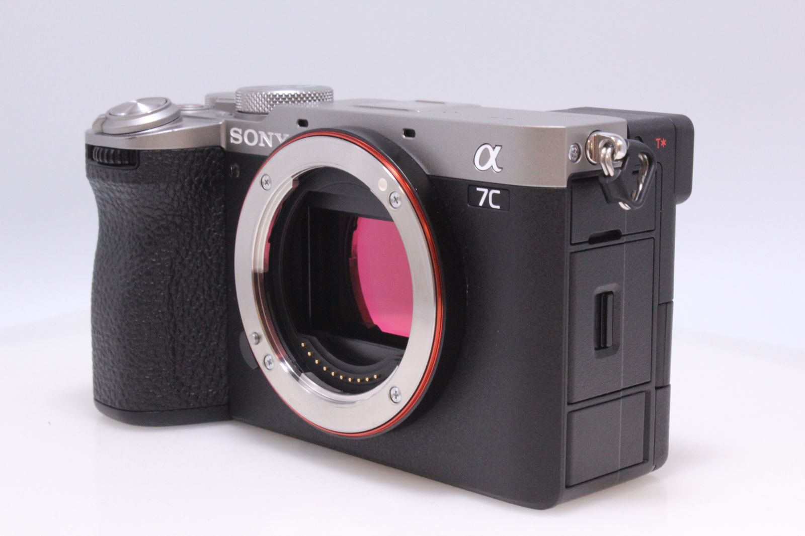 ボディ フルサイズ