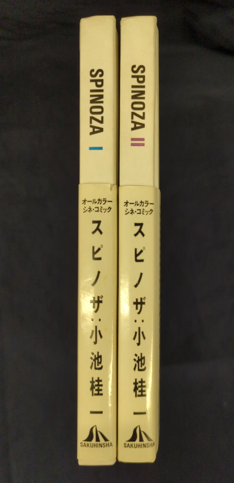SPINOZA I & II スピノザ 小池桂一 SPINOZA I & II スピノザ 小池桂一 【公式通販】