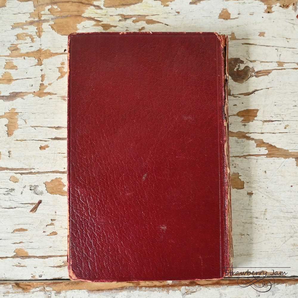 洋書古書　1952年　ペンギン文庫　カリグラフィ　美しい筆記体　スクリプト　英国 L3705-526 英国ヴィンテージ レザーブック アンティークブック