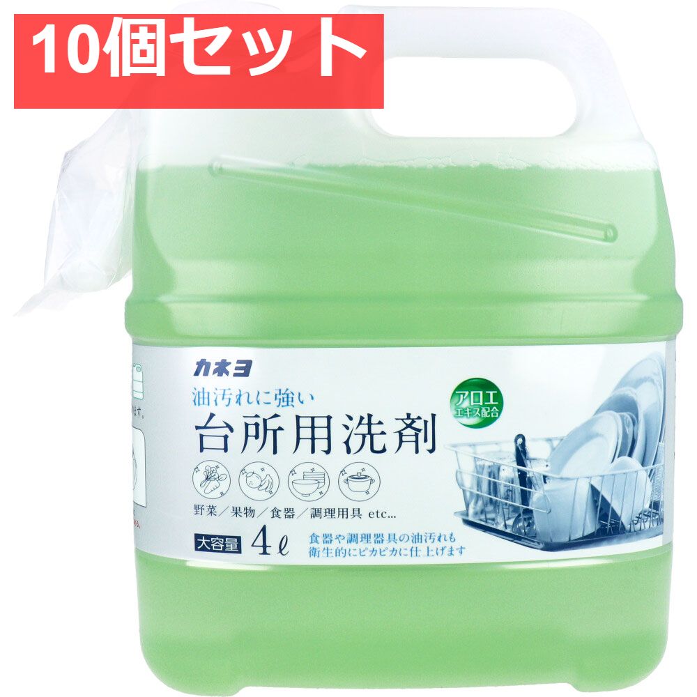 業務用 台所用洗剤 大容量 4L 10個セット