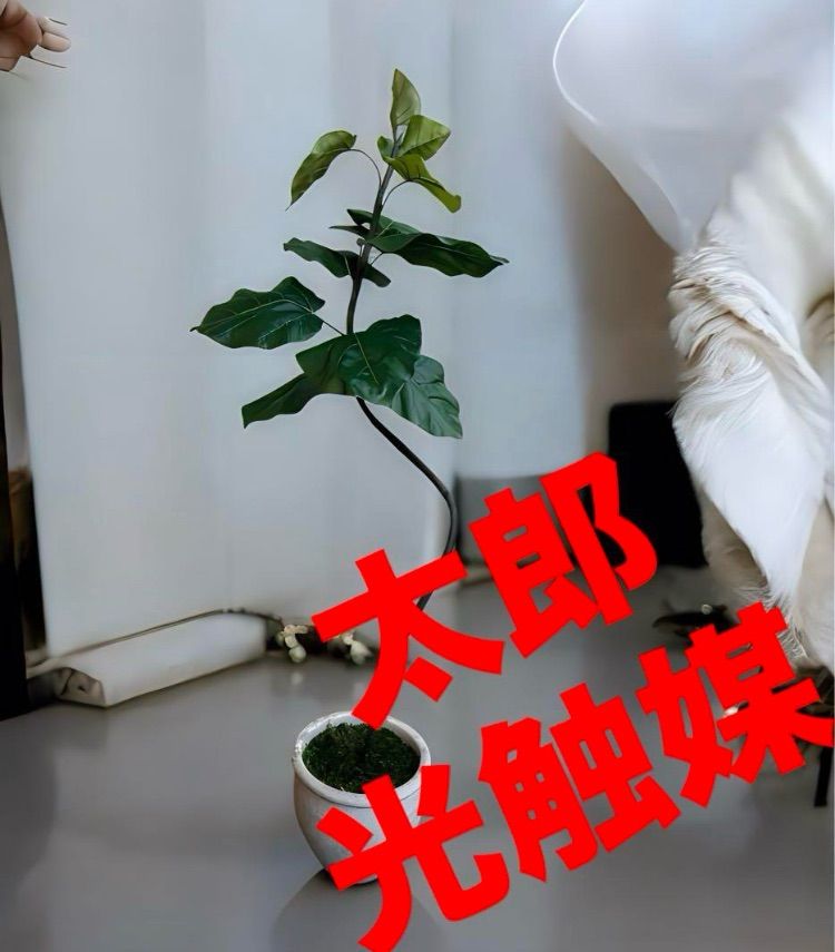 光触媒 人工観葉植物 ウォールグリーン フェイクグリーン クネクネ