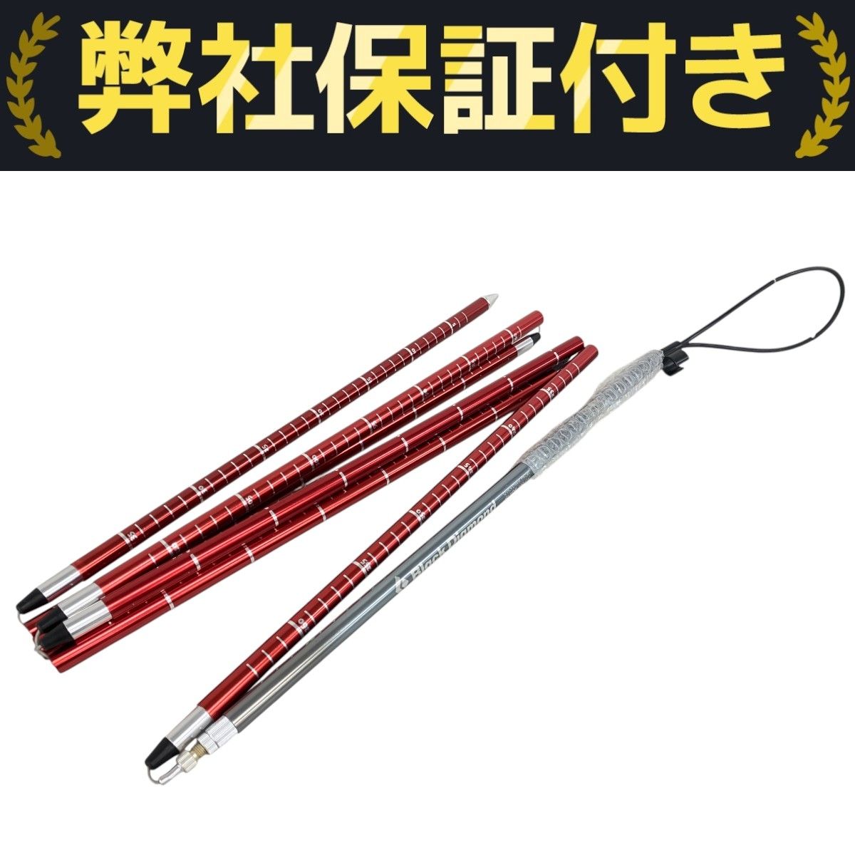 Black Diamond ガイドプローブ 300 BLACK DIAMOND プローブ ブラックダイヤモンド QUICKDRAW GUIDE