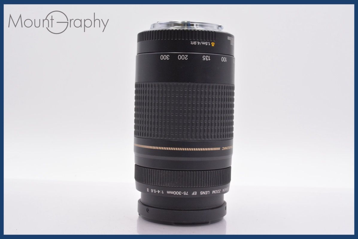 ☆実用美品☆ キヤノン Canon EF 75-300mm F4-5.6 II USM 前後キャップ 