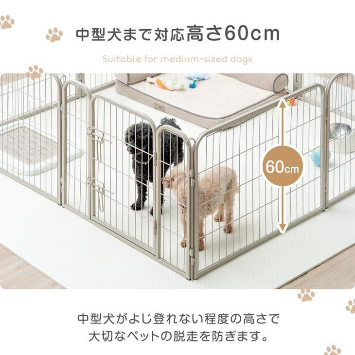 犬