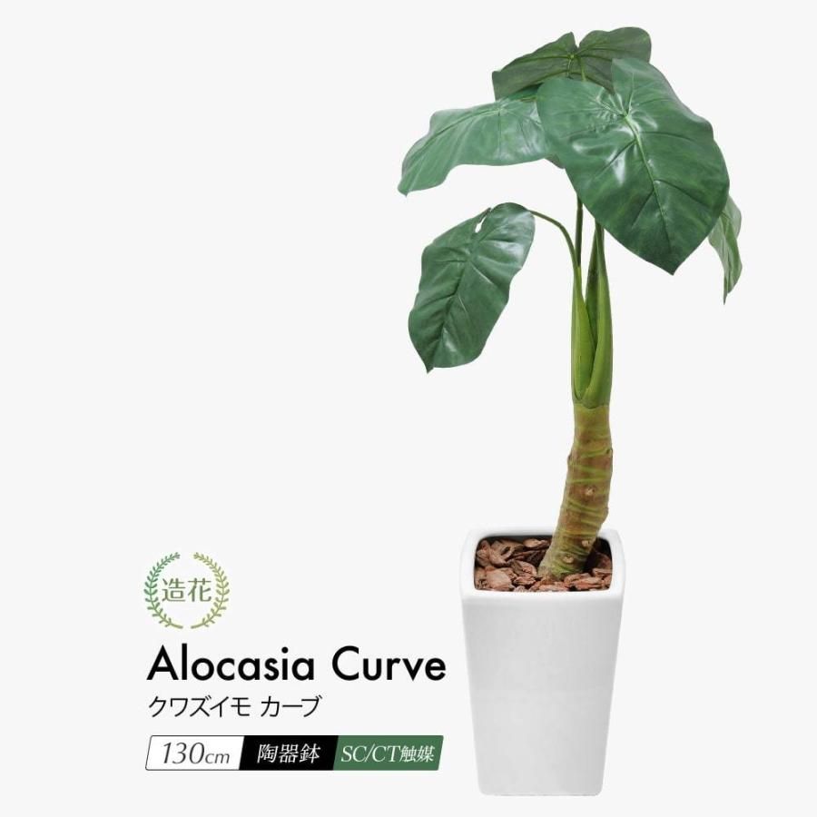 ノンブランド新品トランペット！ ケースだけ汚れあり 常識の範囲で