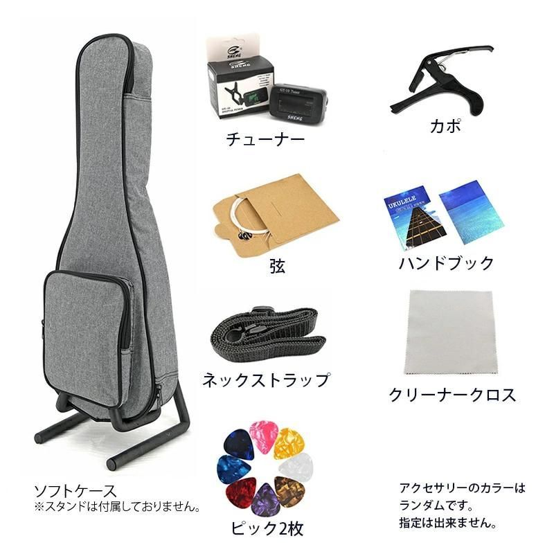 コンサートサイズ