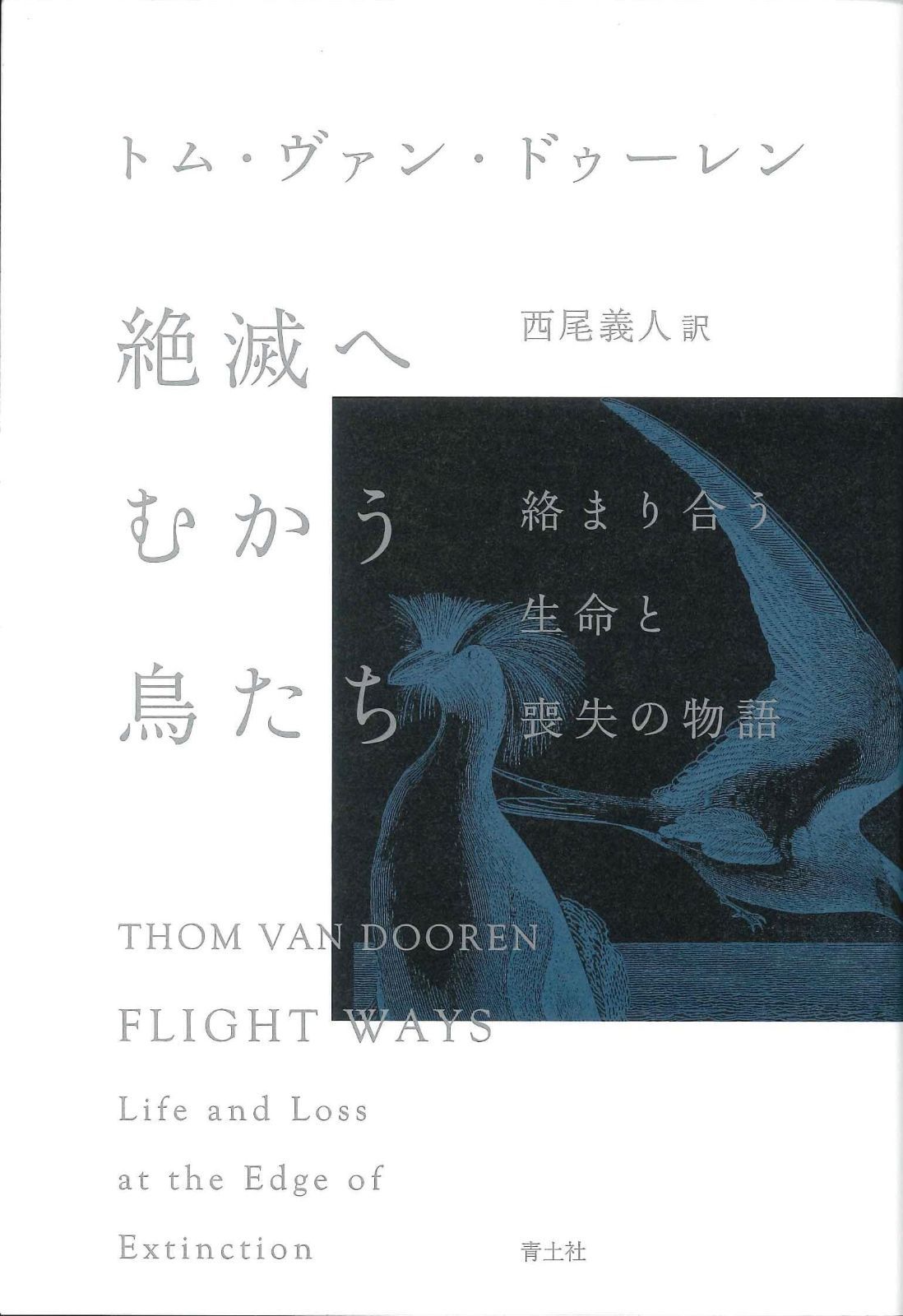 数量限定，定番 絶滅へむかう鳥たち: 絡まり合う生命と喪失の物語 その他