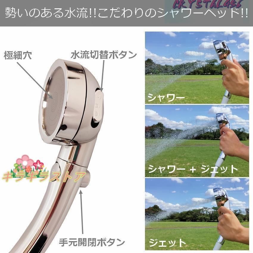 モイスティーヌ美顔器 専用バニティバッグ付き モイスティーヌ美容器