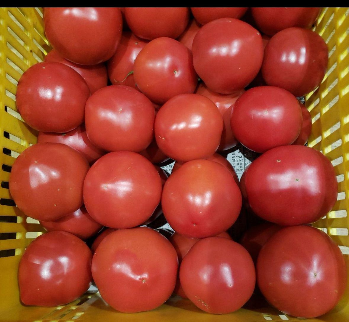 totomon様野菜セット 果物追加 totomon様 野菜セット 果物追加 木なり完熟トマト3 - メルカリ