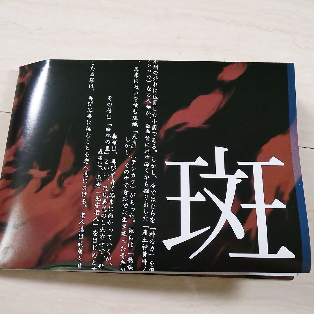 月間アルカディア付録 斑鳩 IKARUGA B2サイズポスター（515mm x 728mm