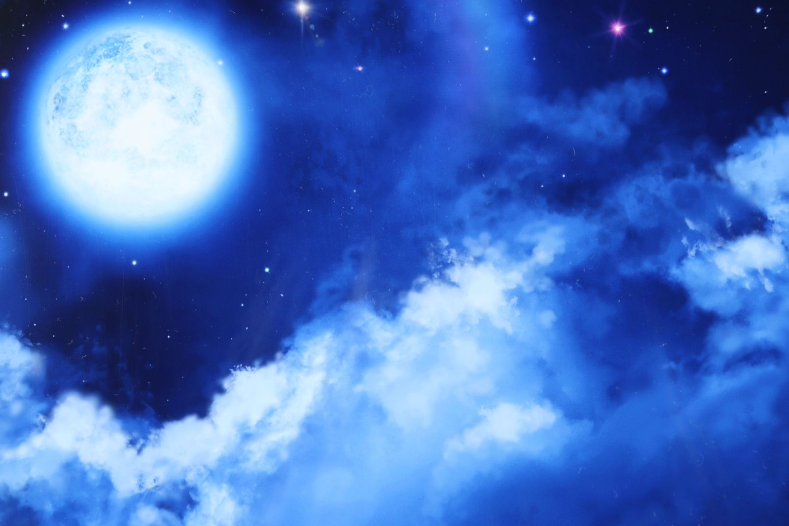 みぽ様専用】クリスチャン・ラッセン 「ムーンリット ディスティニー(S