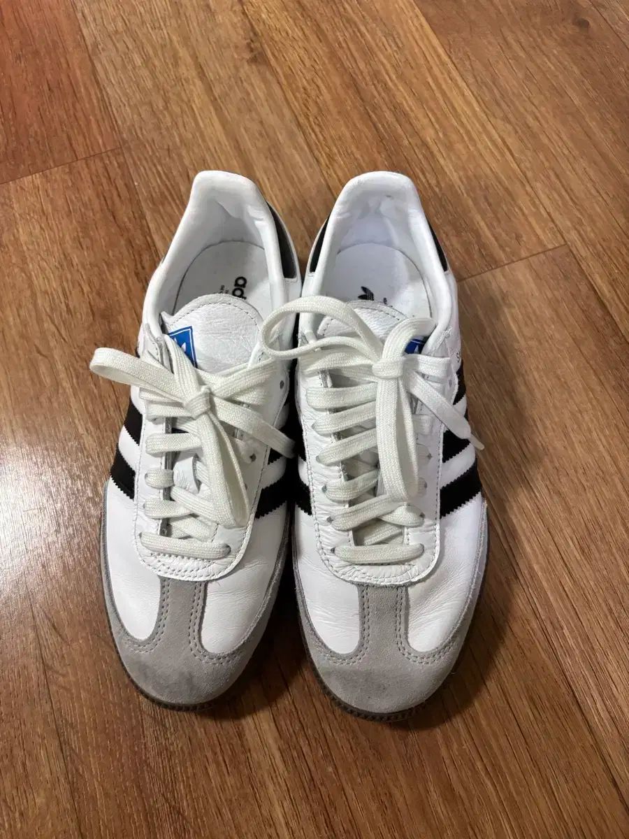 adidas アディダス サンバ 白 220 1 会議用