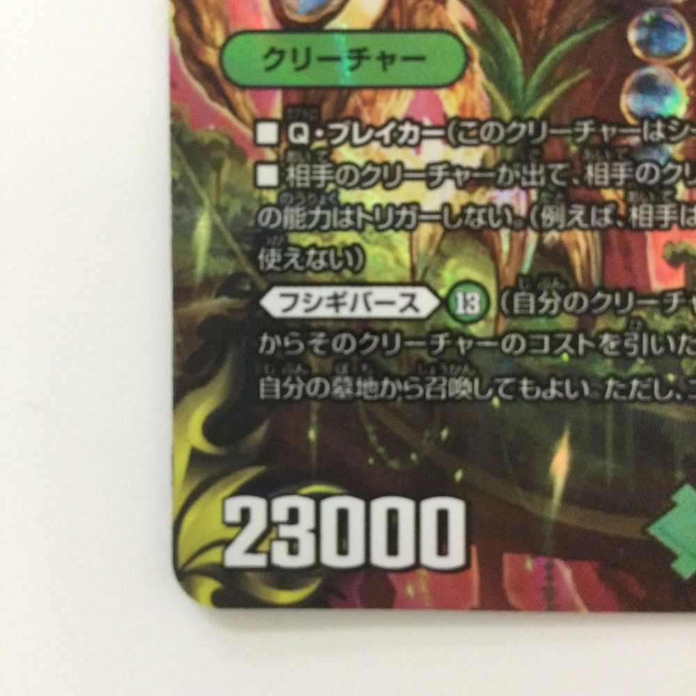 ζζ デュエルマスターズ ブラキオ龍樹 DMRP22TR6/TR10 SR