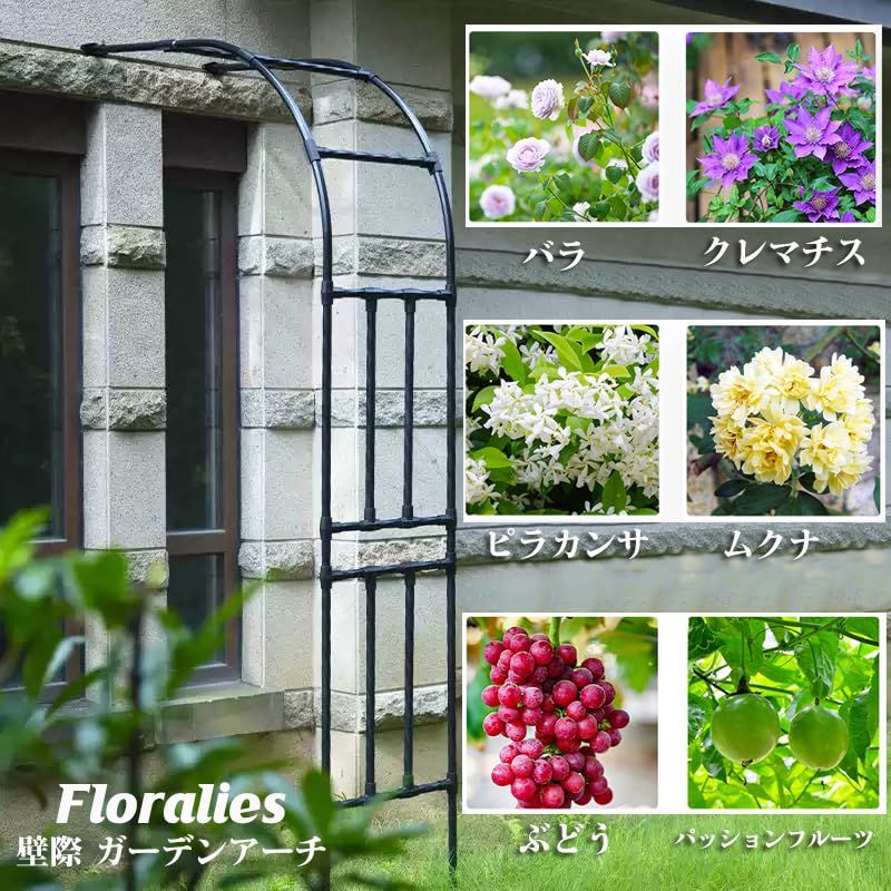  Floralies ガーデンアーチ 半円形 アーバー ローズ ツタ ハーフアーチ 高さ240 cm 壁際 トレリス 家庭 庭 つる植物用 黒 ステンレス鋼管 パーゴラ アーチ ブラック- 長さ120×奥行40×高さ240 その他 アレンジメント用品 資材