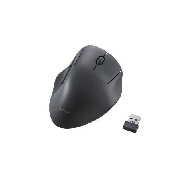 AL1070】ユッカ リギダ バランスの良いダブルヘッド