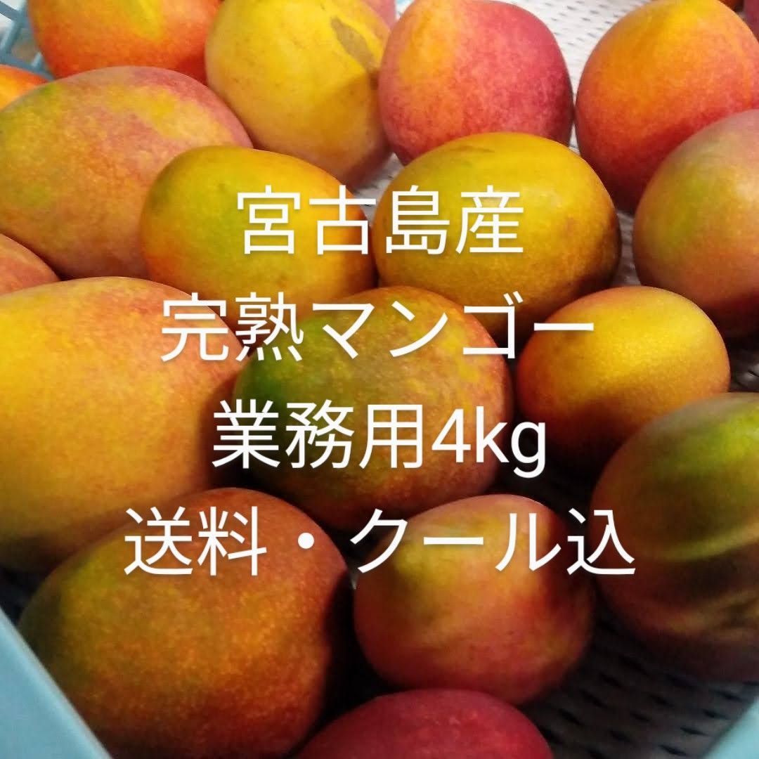 沖縄 宮古島産 完熟マンゴー4kg 業務用（訳あり） - メルカリ