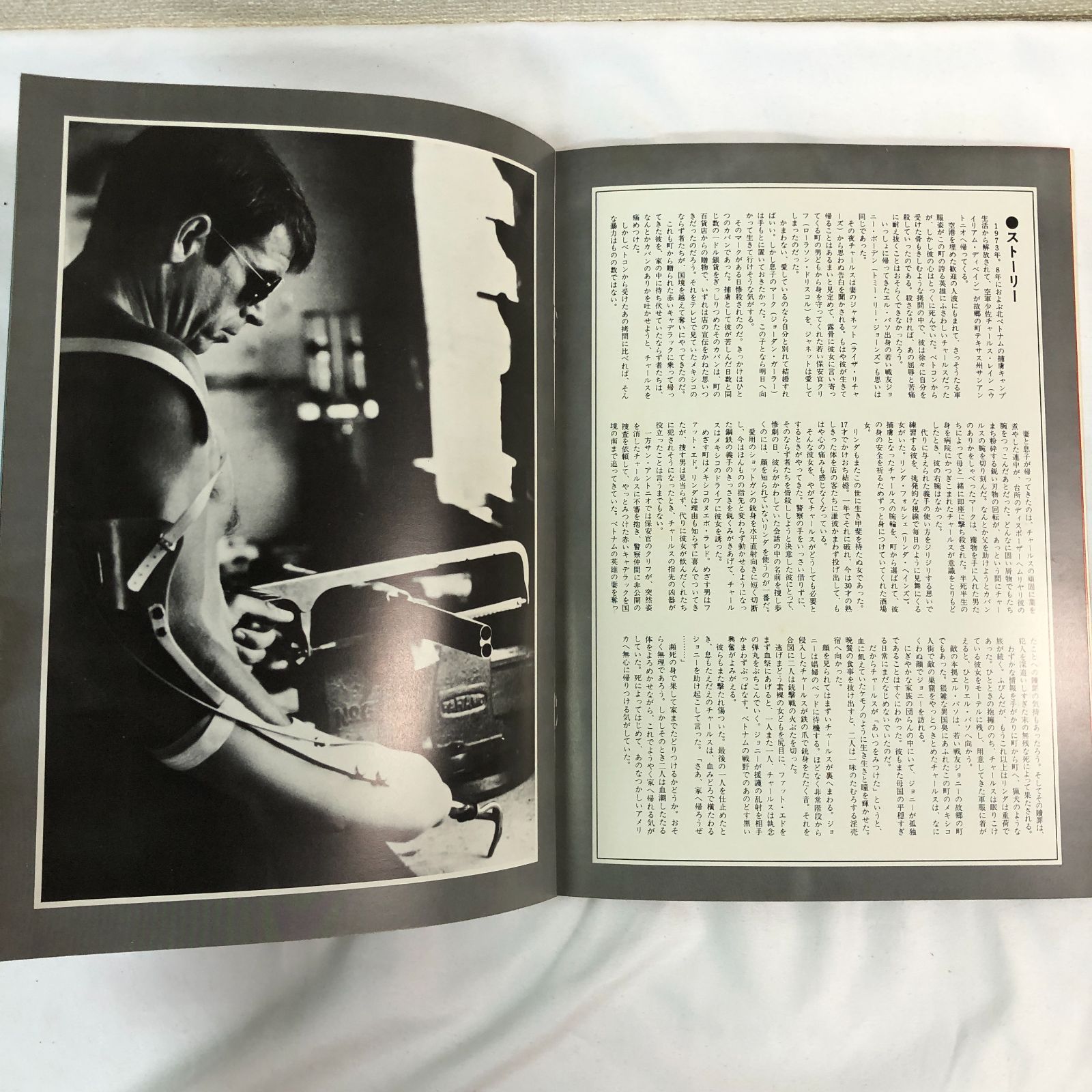 映画 パンフレット 13冊セット 洋画 邦画 ハリウッド バラ売り可