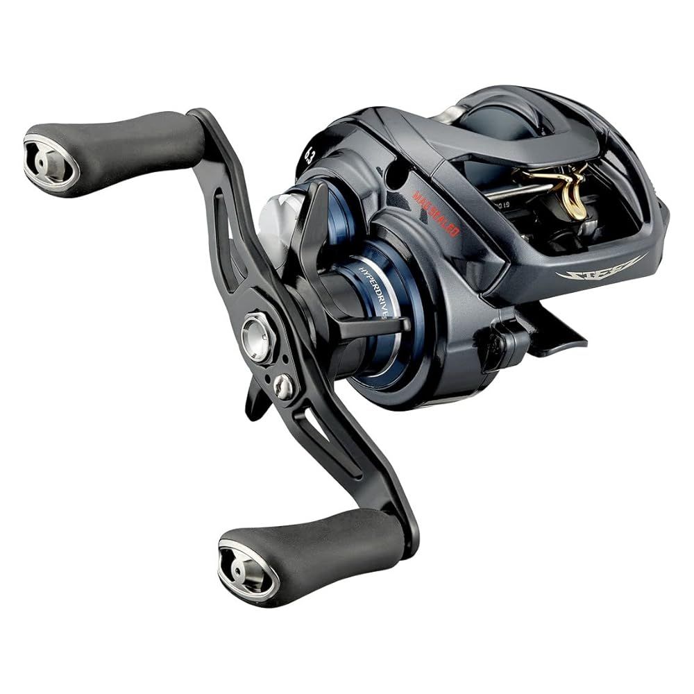 ダイワ DAIWA ベイトキャスティングリール スティーズ A TW HLC 8.1R