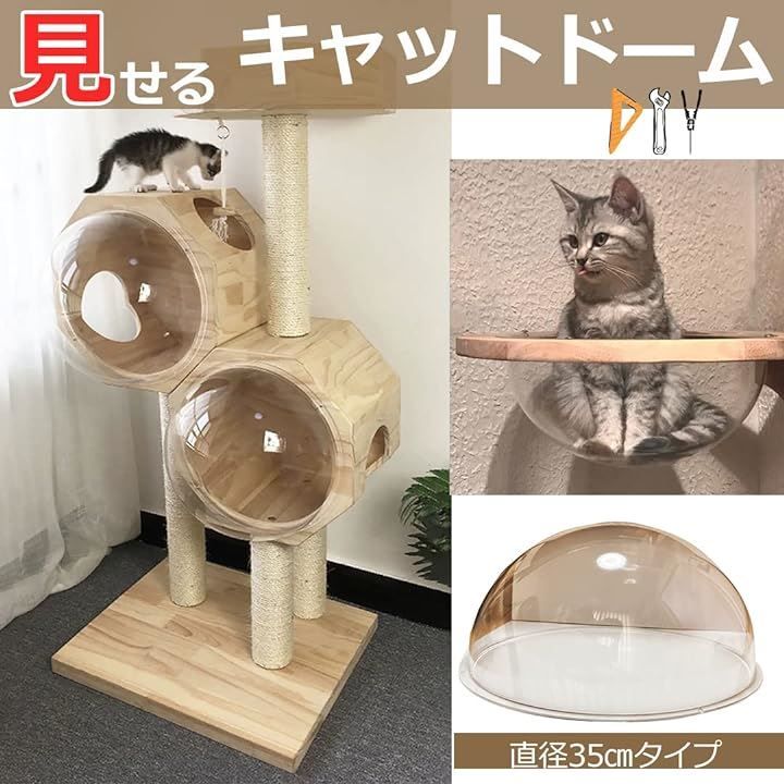 透明 ボウル型
