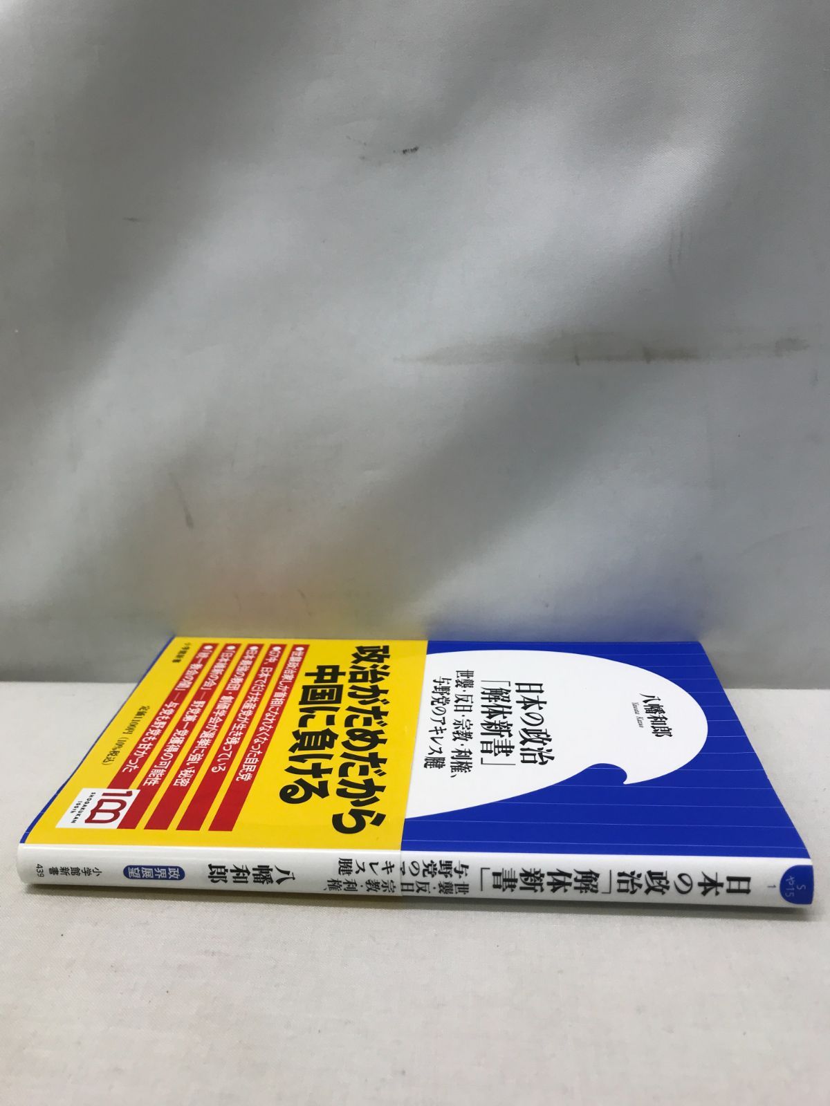 日本の政治「解体新書」: 世襲・反日・宗教・利権、与野党のアキレス腱