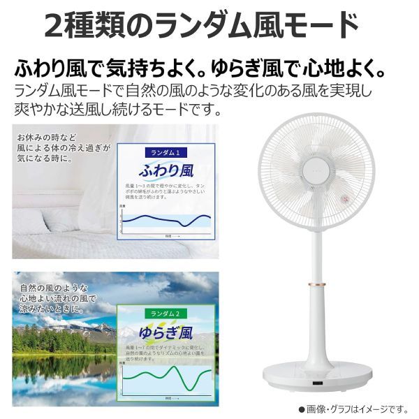 新品 TF-30DL28(W) 東芝 DCリビング扇風機 省エネ 静音 DCモーター搭載