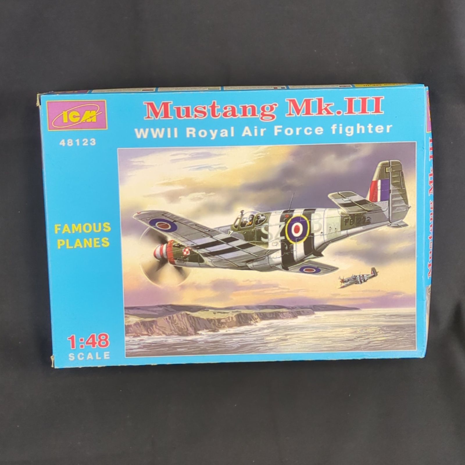 輸入キット 残僅少 ICM 48123 1|48 Mustang Mk.ⅲ イギリス空軍 ムスタング Mk.3 RAF