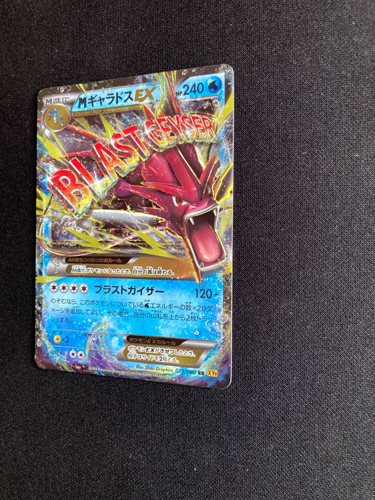 XY「MギャラドスEX」(XY9 019/080 EDITION入り) 【公式通販】