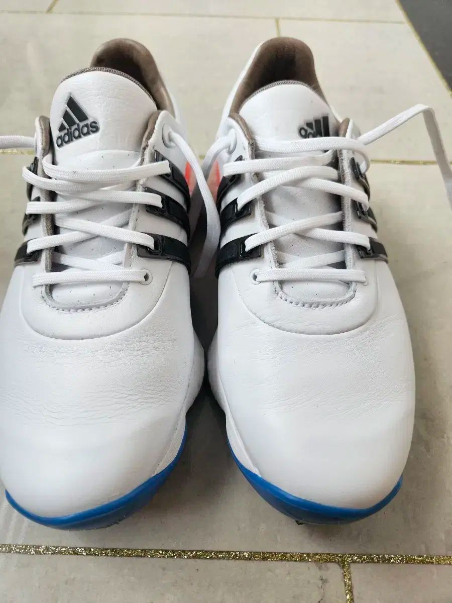 adidas(アディダス) ツアー 360 ゴルフシューズ 先週 【公式通販】