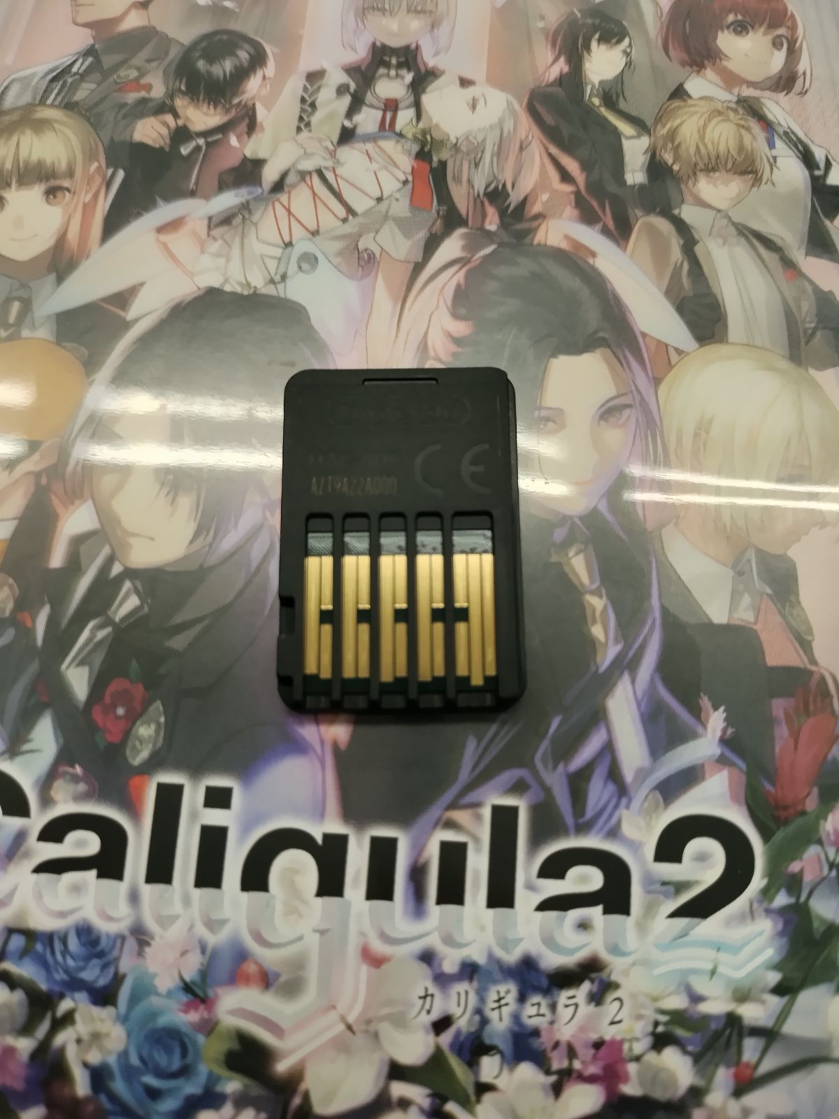 中古Switchソフト】Caligula2（カリギュラ2） 初回生産限定版 【50-60