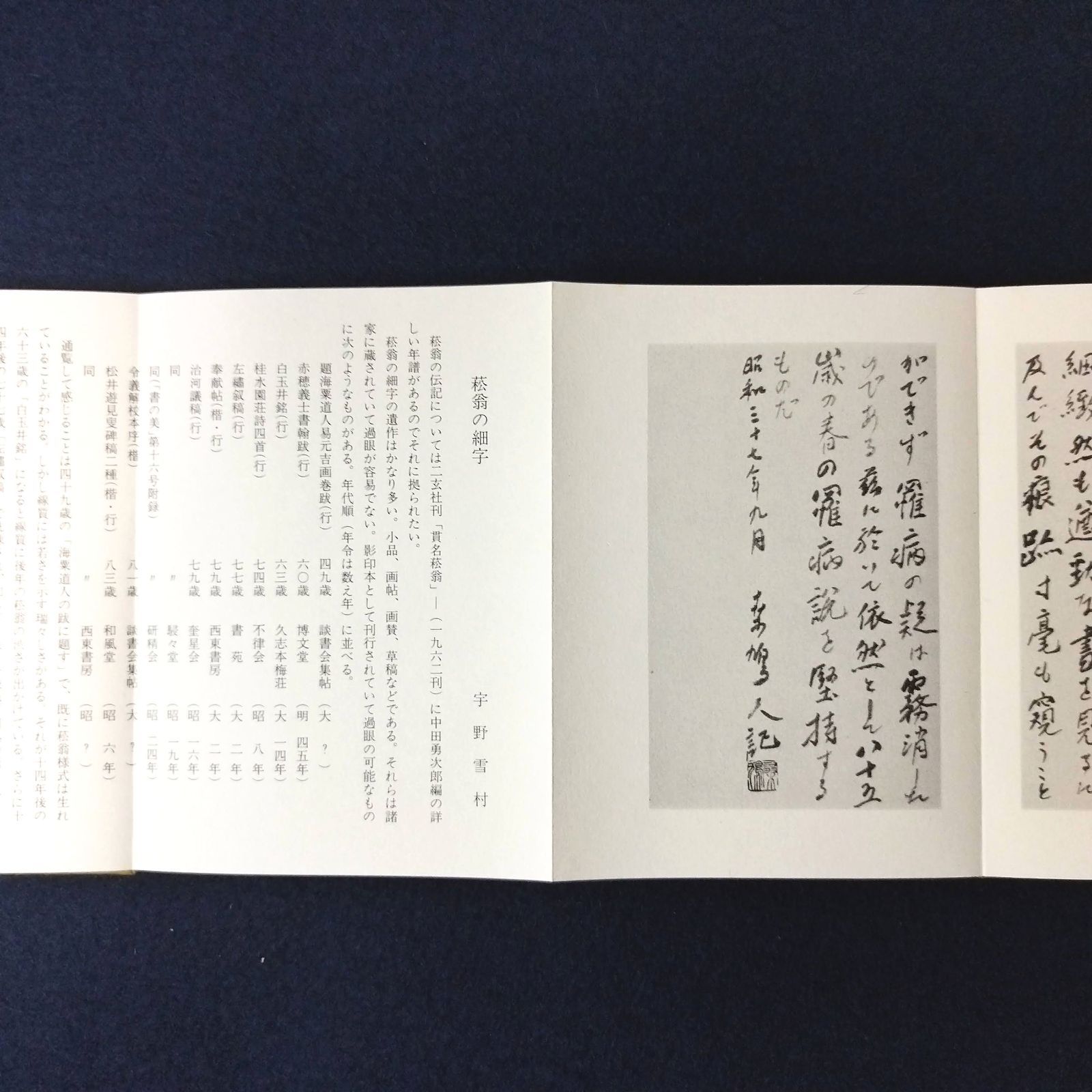 日本書道◇私擬治河議◇ 貫名菘翁書 細字行書の傑作 天来書院 折帖 函 