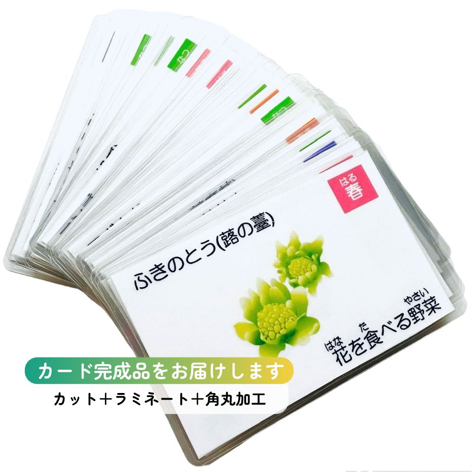 【完成品】野菜・果物カード　小学校受験教材　理科的常識　幼児教育　知育　断面図 完成品】野菜・果物カード 小学校受験教材 理科的常識 幼児教育