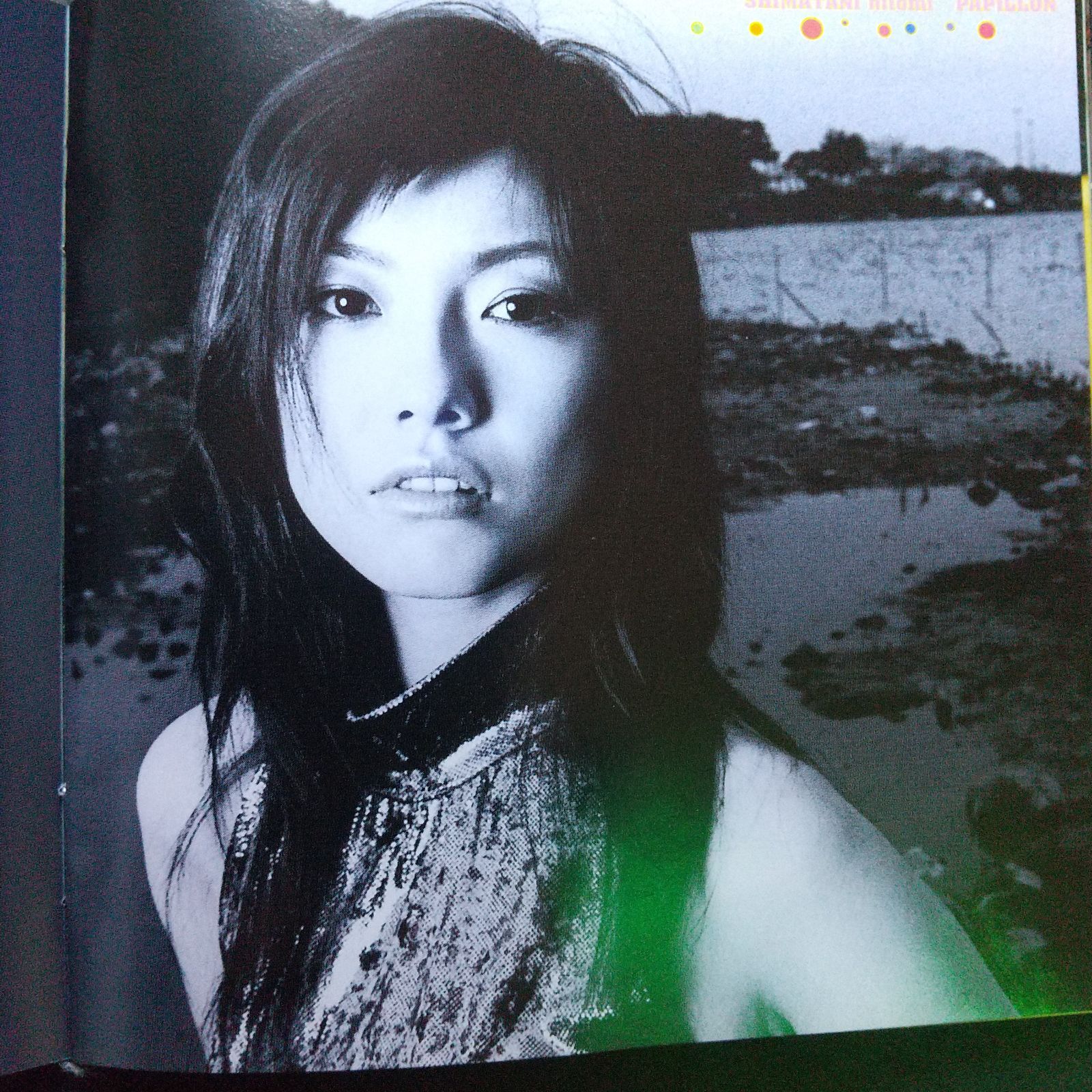 島谷　ひとみ　パピヨン　12インチシングルレコード 美盤 美ジャケ 島谷ひとみ Hitomi Shimatani 2001年 12