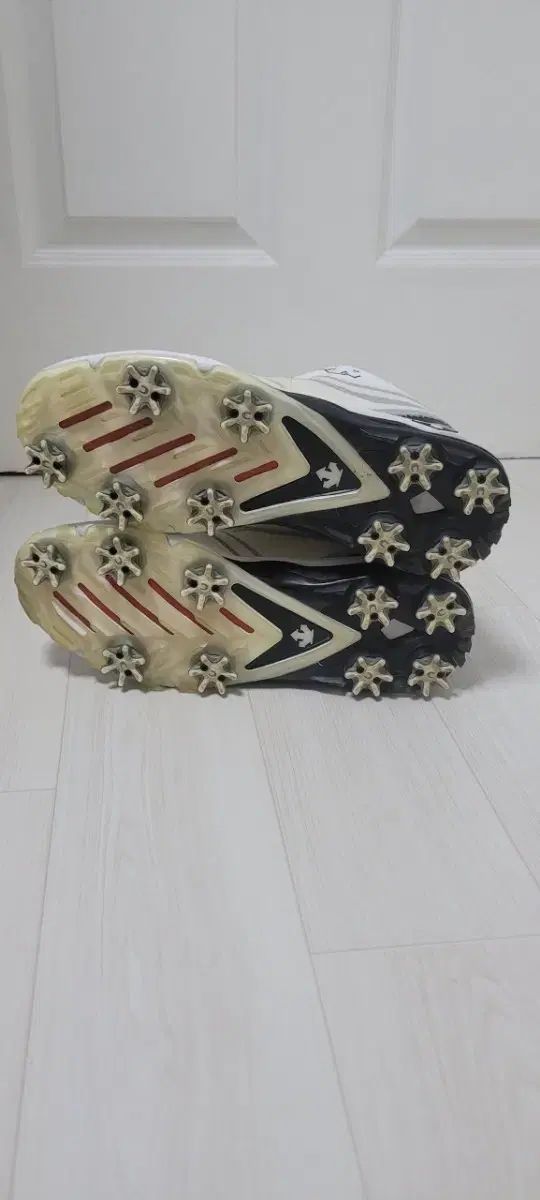 デサント BoA メンズゴルフシューズ 実際に着用 255ミリ LLC-HASEGAWATOSO_COM