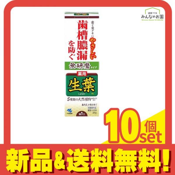 生葉(しょうよう)無研磨タイプ 95g 10個セット まとめ売り