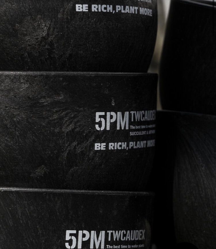 酉 5pm.twcaudex プラスチック 鉢 - メルカリ