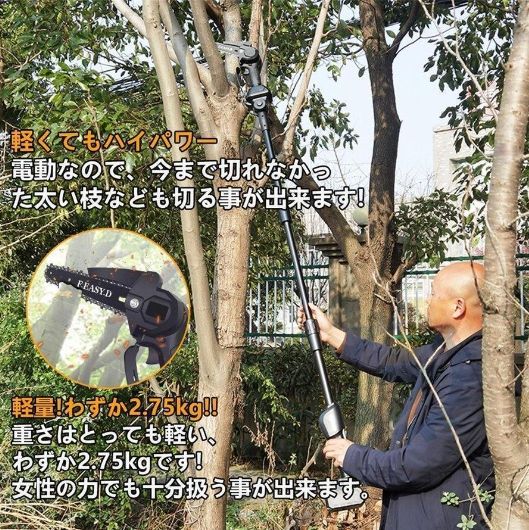着脱式ポール