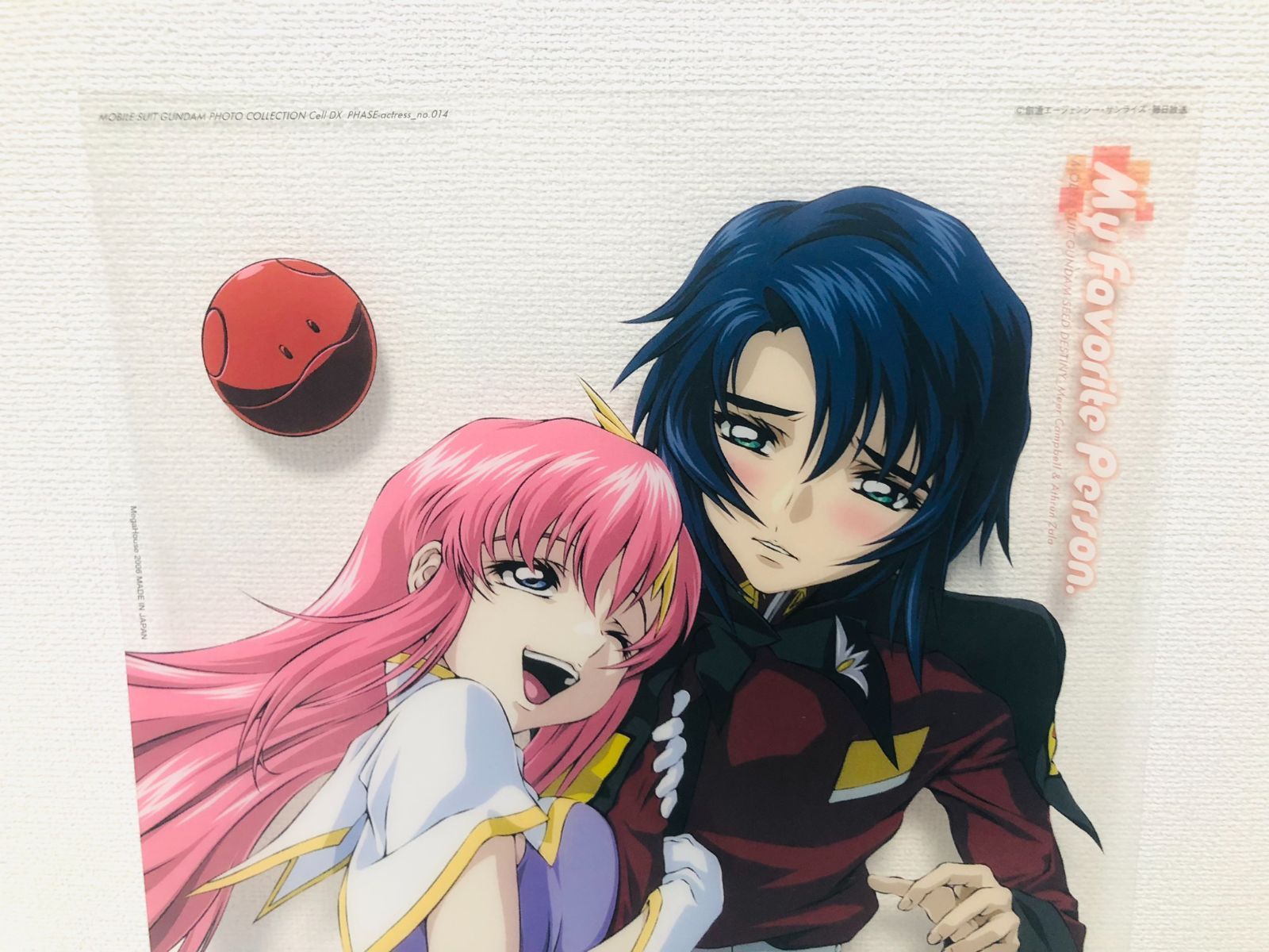 機動戦士ガンダムSEED DESTINY フォトコレクション Cell DX