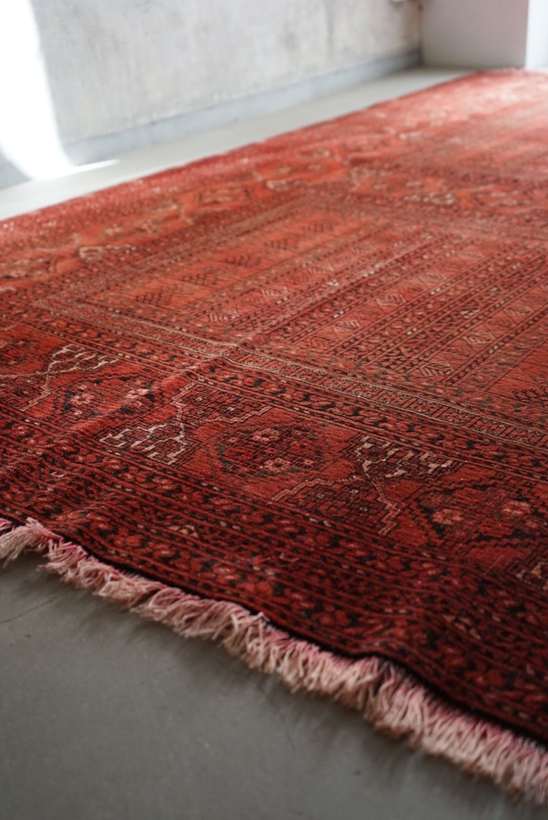 トルクメン レッド