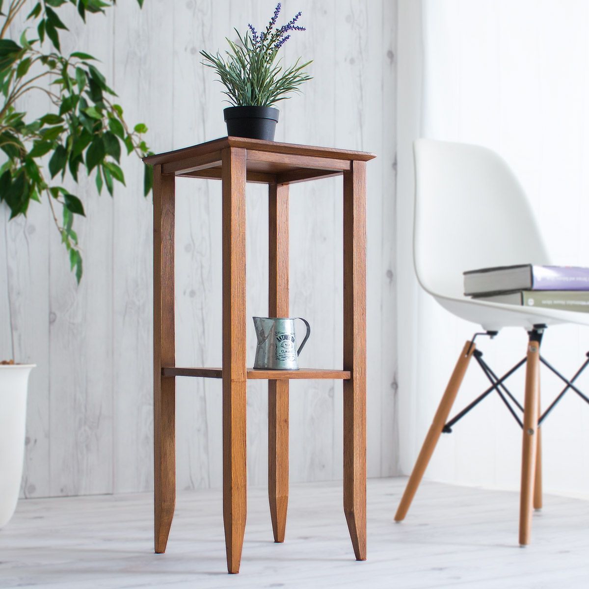 パキポディウム アンボンゲンセ　２つセット パキポディウム アンボンゲンセ | GREEN LUCK