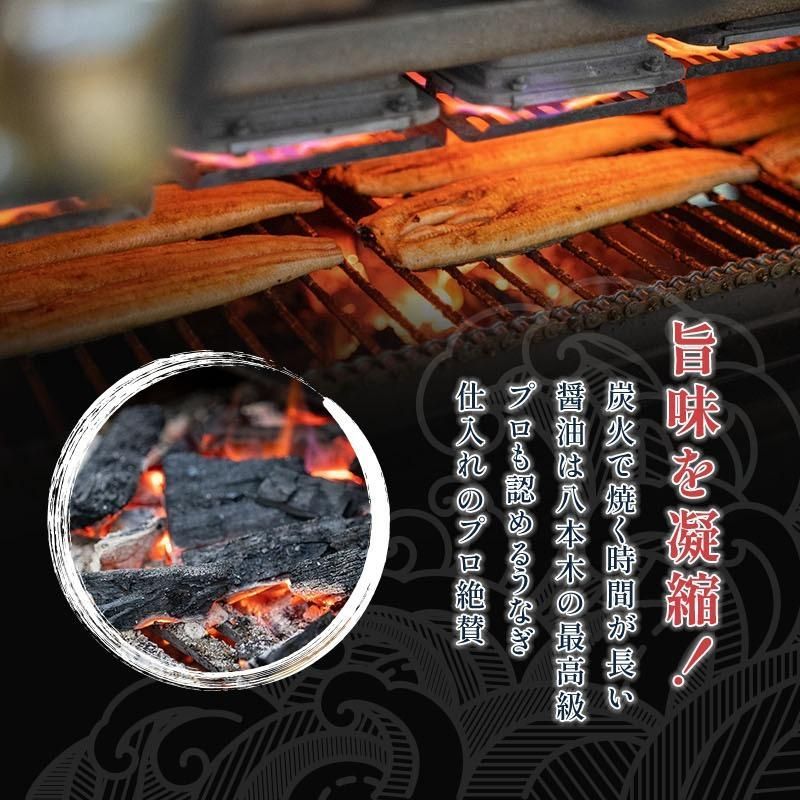 うなぎ蒲焼き