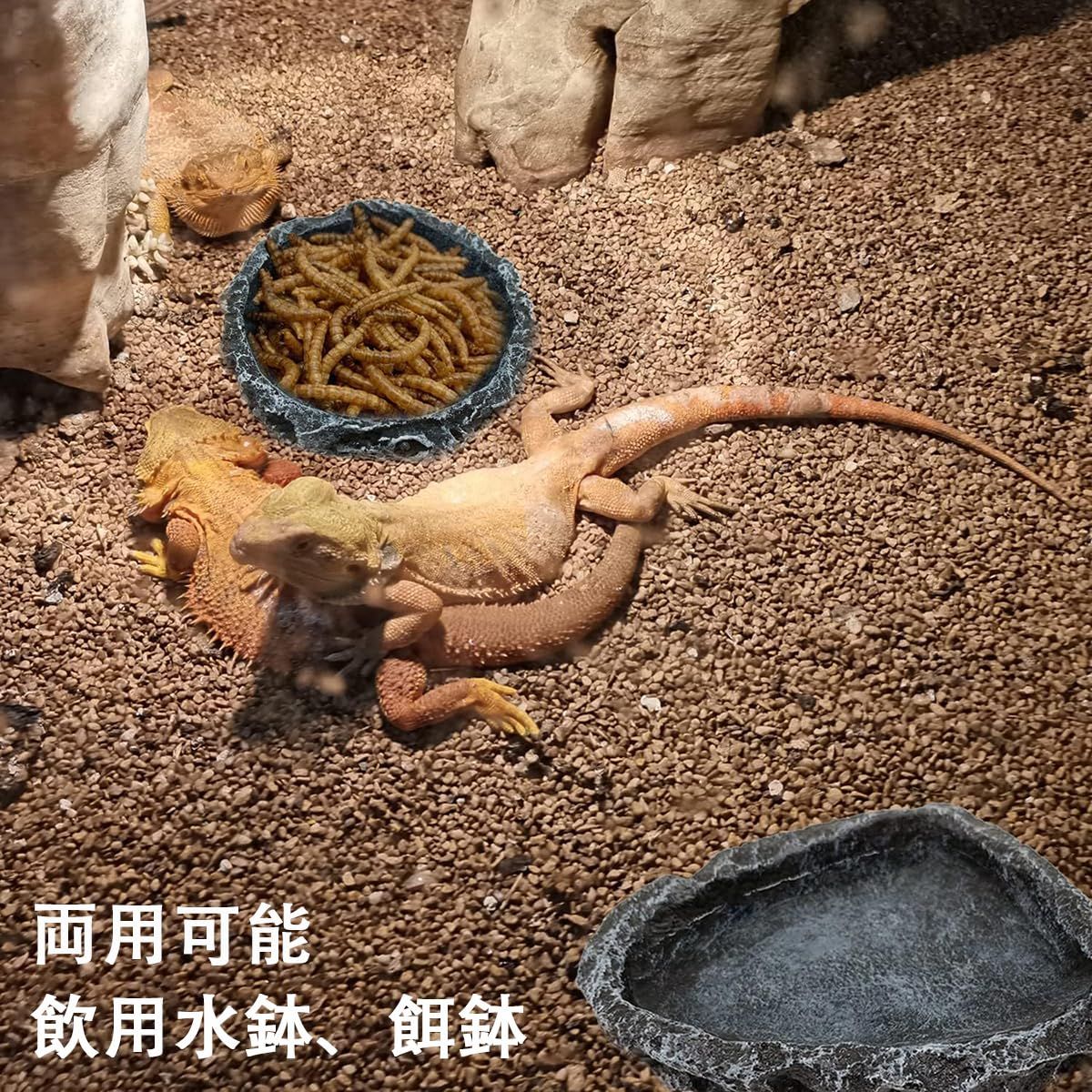 新品 爬虫類 水入れ 餌入れ エサ皿 水飲み皿 自然の岩イメージ ひっ